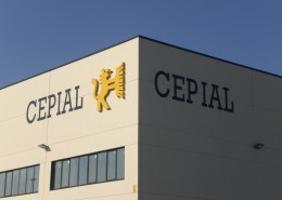 letras recortadas cepial vitoria